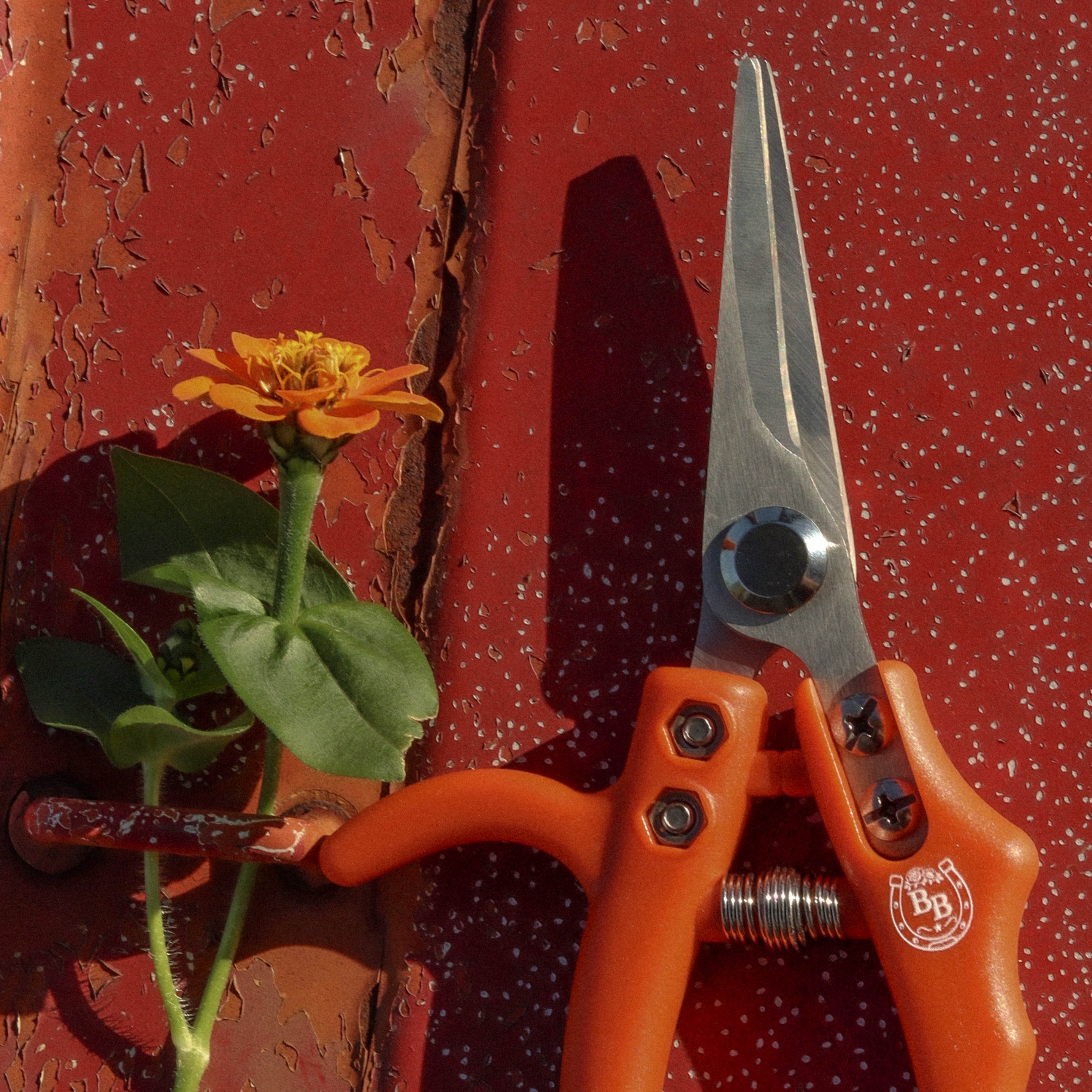The Stockyard Snips