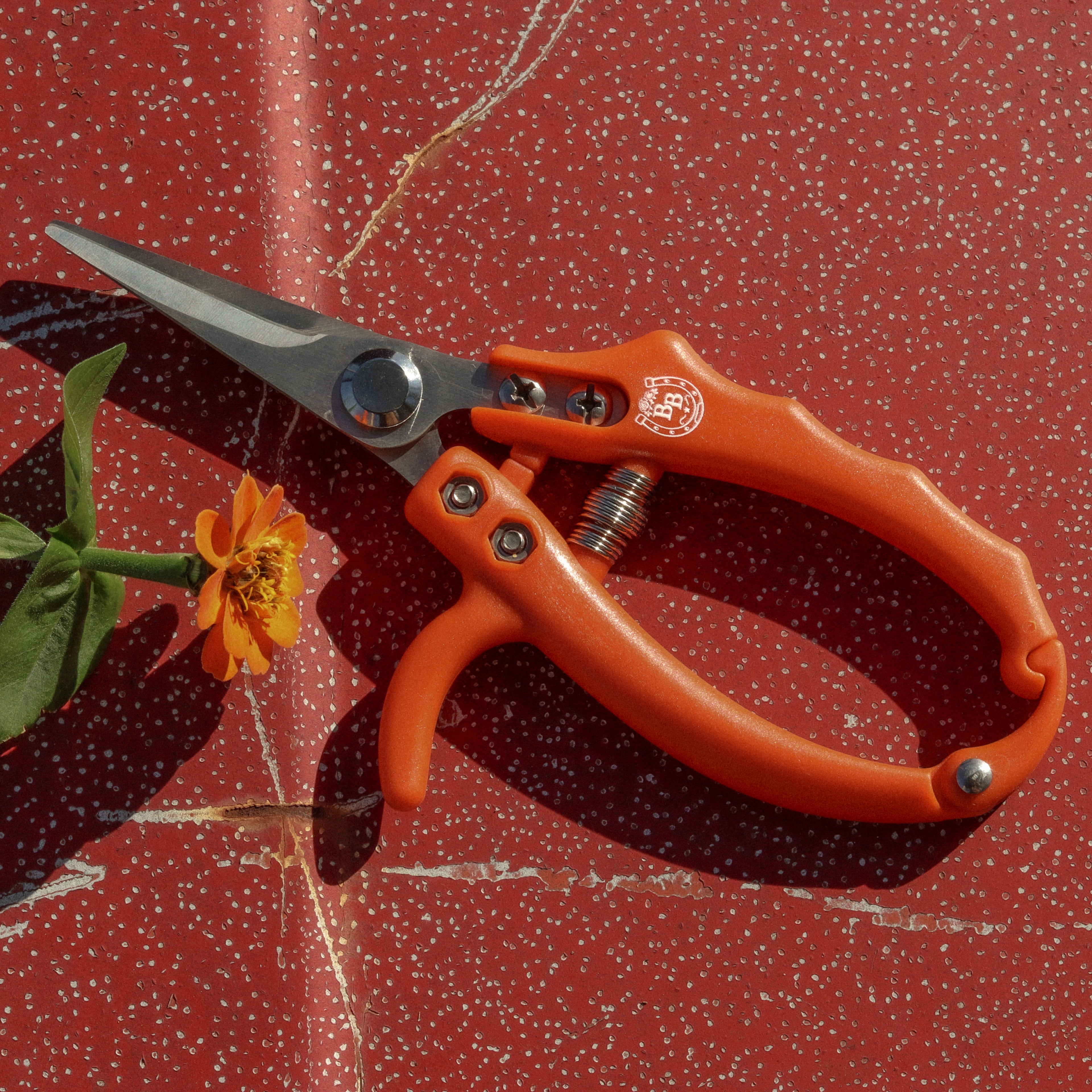 The Stockyard Snips